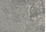 Couronnement Gris Newport